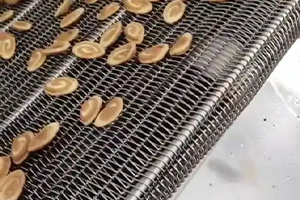 Stainless Steel Dryer Conveyor Mesh Belt